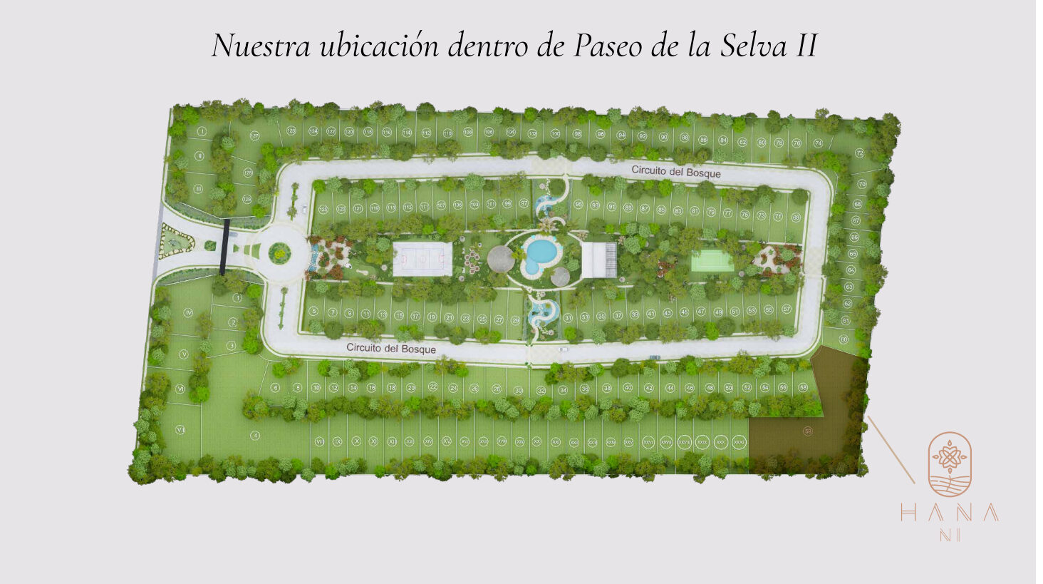 Ubicación de Hana Ni dentro de Paseos de la Selva II